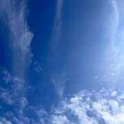 ヒメ日記 2025/06/16 11:20 投稿 みおり 渋谷角海老