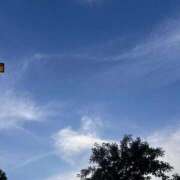 ヒメ日記 2025/07/05 08:20 投稿 みおり 渋谷角海老