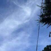 ヒメ日記 2025/07/05 13:20 投稿 みおり 渋谷角海老