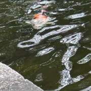 ヒメ日記 2025/07/08 13:10 投稿 みおり 渋谷角海老