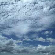 ヒメ日記 2025/07/26 17:10 投稿 みおり 渋谷角海老