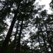 ヒメ日記 2025/08/07 13:50 投稿 みおり 渋谷角海老