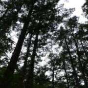 ヒメ日記 2025/08/07 18:20 投稿 みおり 渋谷角海老