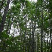 ヒメ日記 2025/08/10 14:20 投稿 みおり 渋谷角海老