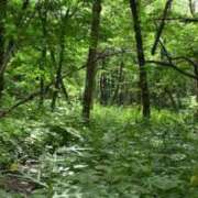 ヒメ日記 2025/08/16 13:00 投稿 みおり 渋谷角海老