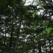 ヒメ日記 2025/10/01 12:00 投稿 みおり 渋谷角海老