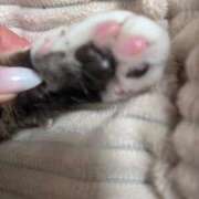 ヒメ日記 2026/02/17 16:50 投稿 みおり 渋谷角海老