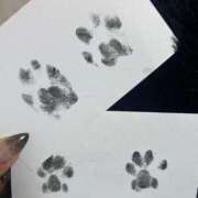 ヒメ日記 2026/02/23 16:40 投稿 みおり 渋谷角海老