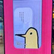 ヒメ日記 2026/04/16 13:50 投稿 みおり 渋谷角海老