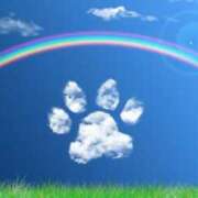 ヒメ日記 2025/09/17 15:42 投稿 わたあめ お取り寄せスイーツ 女の子市場