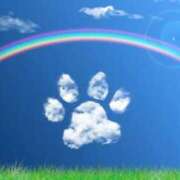 ヒメ日記 2025/09/17 15:48 投稿 わたあめ お取り寄せスイーツ 女の子市場