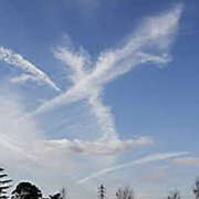 わたあめ おっはよーん お取り寄せスイーツ 女の子市場