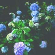 ヒメ日記 2025/07/11 17:39 投稿 港 せんり こあくまな熟女たち 千葉店（KOAKUMAグループ）