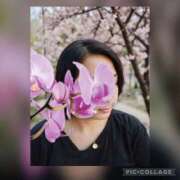 港 せんり 本日、〜17時まで★よろしくお願いします こあくまな熟女たち 千葉店（KOAKUMAグループ）