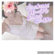 ヒメ日記 2026/04/07 13:57 投稿 港 せんり こあくまな熟女たち 千葉店（KOAKUMAグループ）