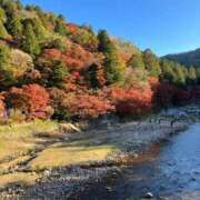 ヒメ日記 2025/10/03 08:25 投稿 うた アムールクリスタル