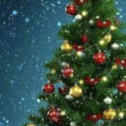 ヒメ日記 2025/12/18 16:27 投稿 たお YESグループ TSUBAKI FIRST