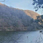 ヒメ日記 2026/01/21 16:13 投稿 たお YESグループ TSUBAKI FIRST