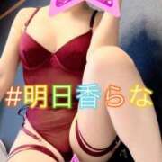 ヒメ日記 2024/12/09 10:10 投稿 明日香らな(あすからな) 黒薔薇