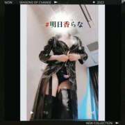 ヒメ日記 2024/12/10 08:47 投稿 明日香らな(あすからな) 黒薔薇