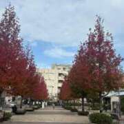 ヒメ日記 2024/12/11 12:35 投稿 明日香らな(あすからな) 黒薔薇