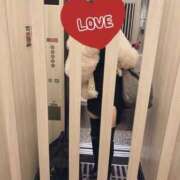 ヒメ日記 2024/12/13 10:10 投稿 明日香らな(あすからな) 黒薔薇