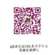 ヒメ日記 2025/11/03 01:17 投稿 明日香らな(あすからな) 黒薔薇