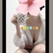 ヒメ日記 2025/12/19 16:32 投稿 明日香らな(あすからな) 黒薔薇