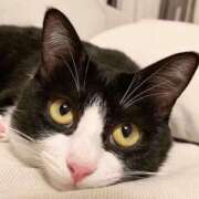 ヒメ日記 2025/12/02 11:08 投稿 しほ♡未経験の童顔美人妻系♡ 富山高岡ちゃんこ