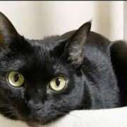 ヒメ日記 2026/04/27 21:45 投稿 しほ♡未経験の童顔美人妻系♡ 富山高岡ちゃんこ