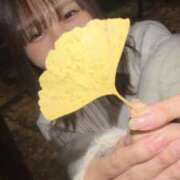 ヒメ日記 2024/12/10 15:46 投稿 まなつ あとりえ(ATELIER)