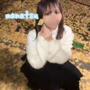 ヒメ日記 2025/01/16 17:19 投稿 まなつ あとりえ(ATELIER)