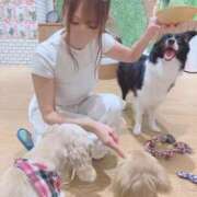 ヒメ日記 2026/06/23 19:02 投稿 まなつ あとりえ(ATELIER)