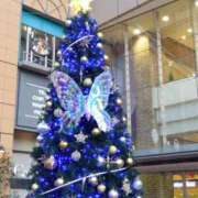 ヒメ日記 2024/12/07 19:45 投稿 ゆま 横浜おかあさん