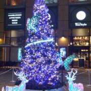 ヒメ日記 2024/12/11 21:55 投稿 ゆま 横浜おかあさん