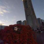 ヒメ日記 2024/12/15 19:55 投稿 ゆま 横浜おかあさん