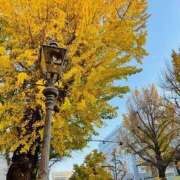 ヒメ日記 2024/12/16 07:45 投稿 ゆま 横浜おかあさん