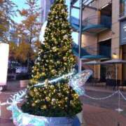 ヒメ日記 2024/12/21 08:05 投稿 ゆま 横浜おかあさん