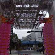 ヒメ日記 2025/02/03 16:05 投稿 ゆま 横浜おかあさん