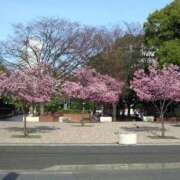 ヒメ日記 2025/02/13 08:05 投稿 ゆま 横浜おかあさん