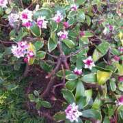 ヒメ日記 2025/03/03 16:20 投稿 ゆま 横浜おかあさん