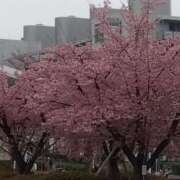 ヒメ日記 2025/03/13 07:35 投稿 ゆま 横浜おかあさん