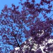 ヒメ日記 2025/03/13 15:55 投稿 ゆま 横浜おかあさん