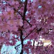 ヒメ日記 2025/03/15 12:45 投稿 ゆま 横浜おかあさん