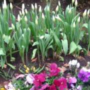 ヒメ日記 2025/03/16 16:59 投稿 ゆま 横浜おかあさん