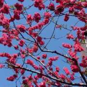 ヒメ日記 2025/03/23 07:45 投稿 ゆま 横浜おかあさん