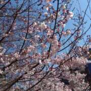 ヒメ日記 2025/03/23 16:15 投稿 ゆま 横浜おかあさん