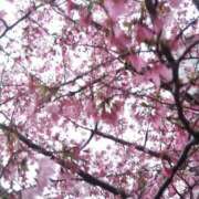 ヒメ日記 2025/04/05 12:25 投稿 ゆま 横浜おかあさん