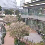 ヒメ日記 2025/04/12 17:55 投稿 ゆま 横浜おかあさん