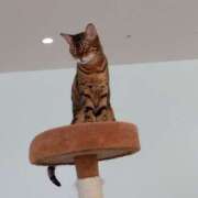 ヒメ日記 2025/04/13 07:46 投稿 ゆま 横浜おかあさん